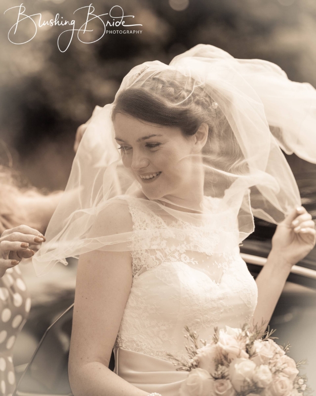 Image 4 from Blushing Bride Photography