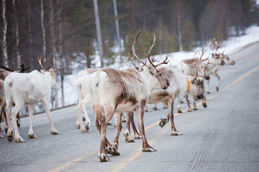 Gallery image 6: fabulicious-travels