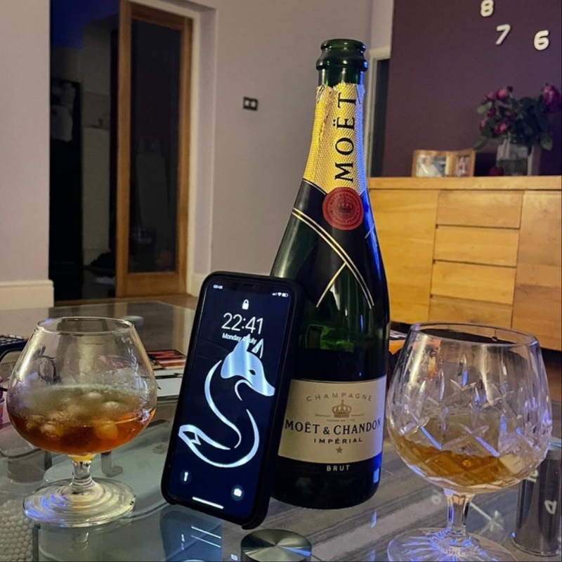 Gallery image 8: silver-fox