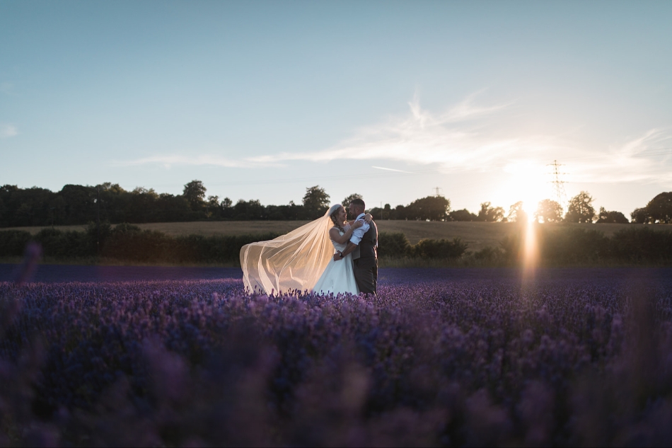 Gallery image 1: the-private-lavender-field