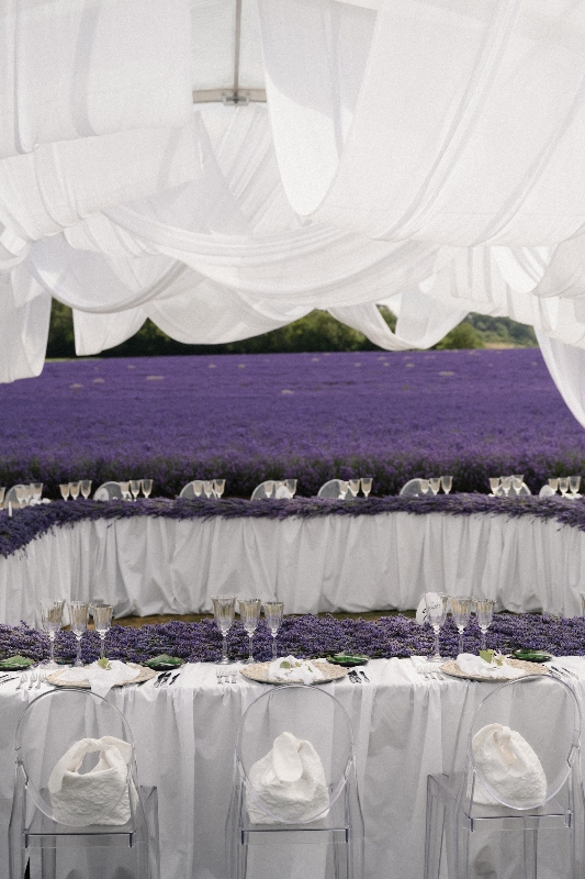 Gallery image 2: the-private-lavender-field