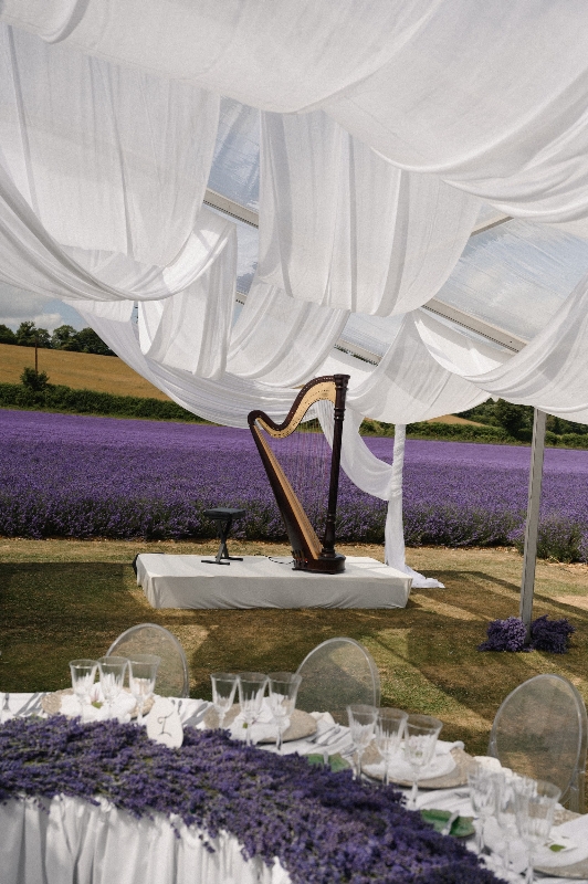Gallery image 3: the-private-lavender-field