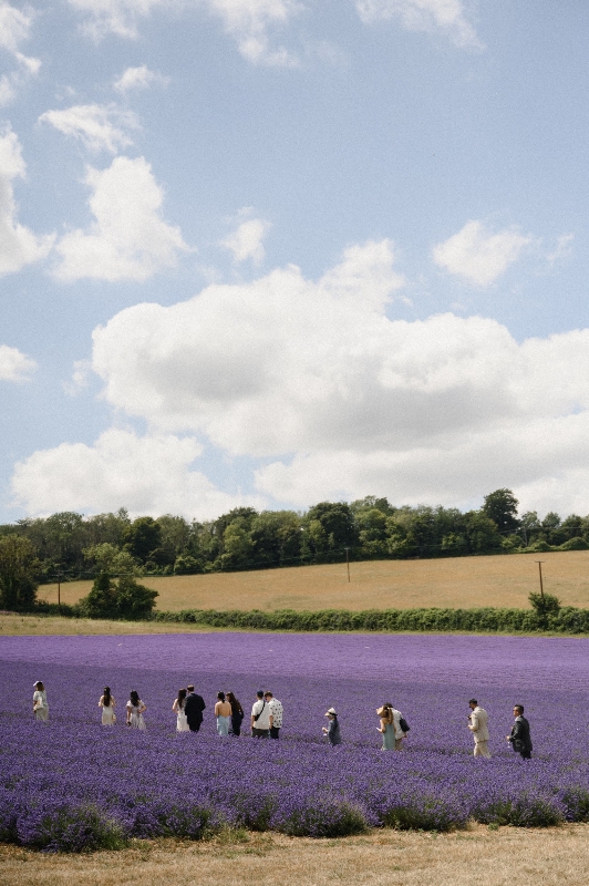 Gallery image 4: the-private-lavender-field