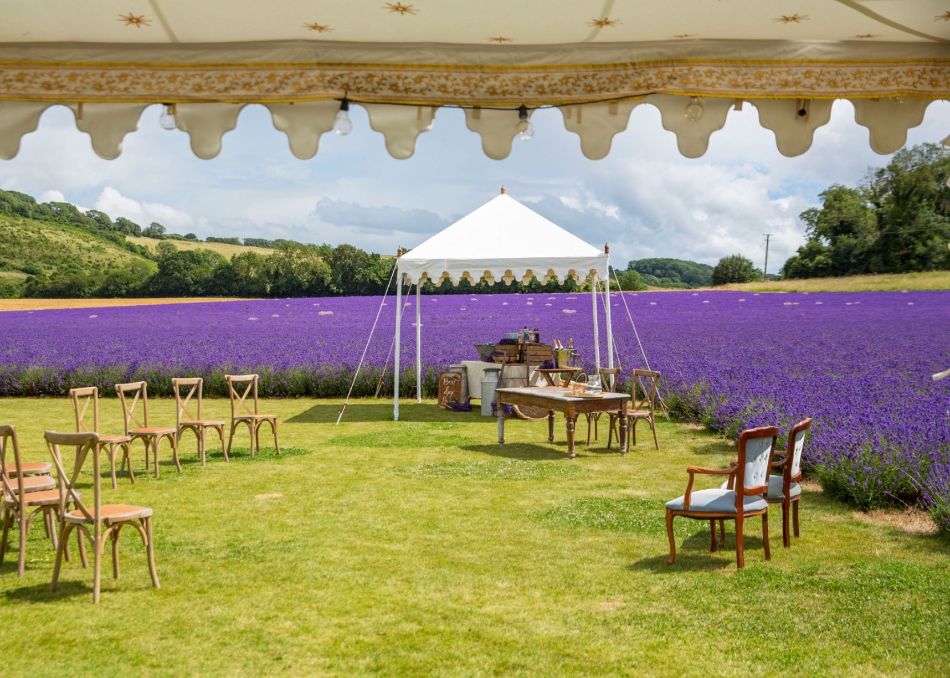 Gallery image 5: the-private-lavender-field