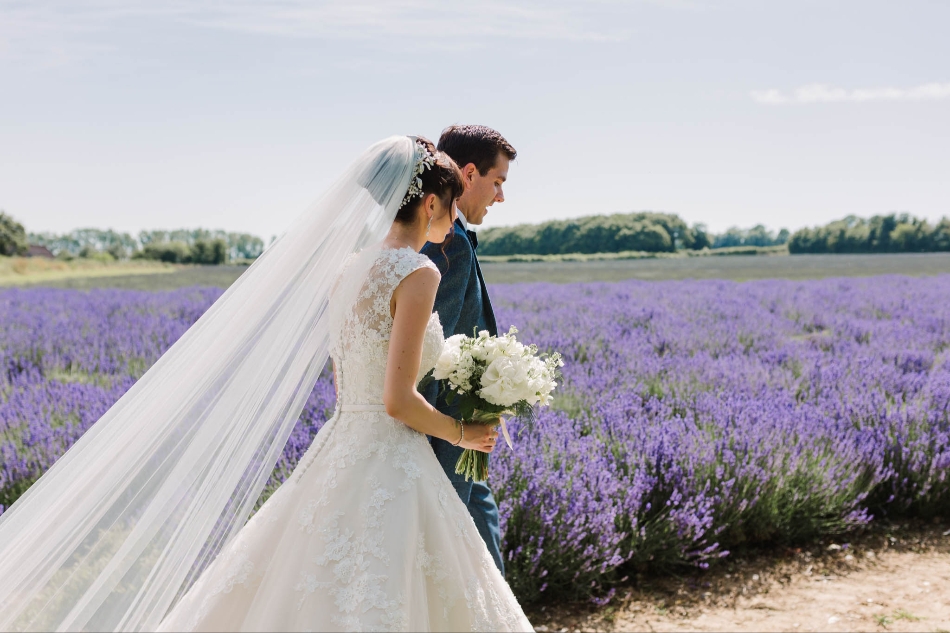Gallery image 9: the-private-lavender-field
