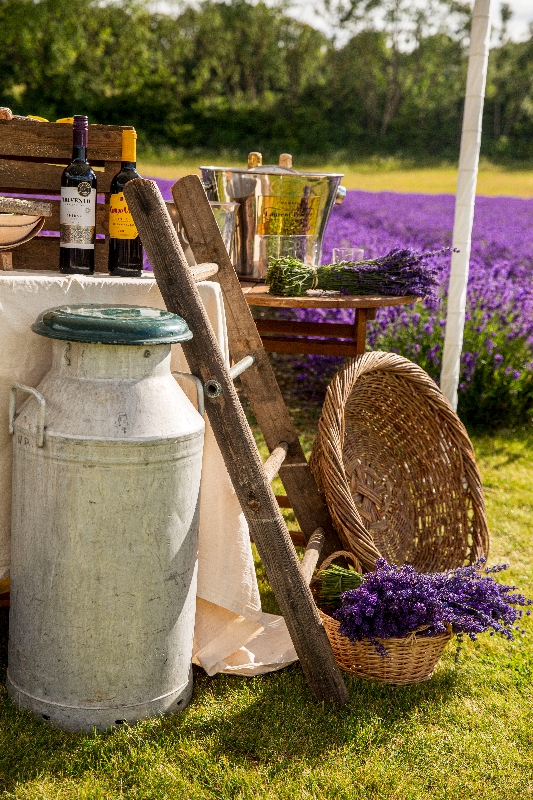 Gallery image 11: the-private-lavender-field