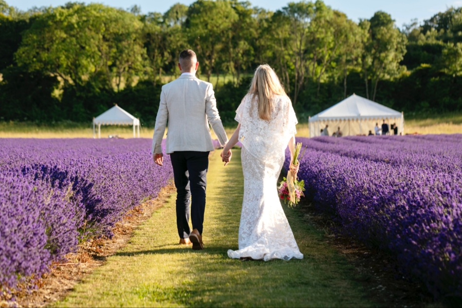Gallery image 14: the-private-lavender-field