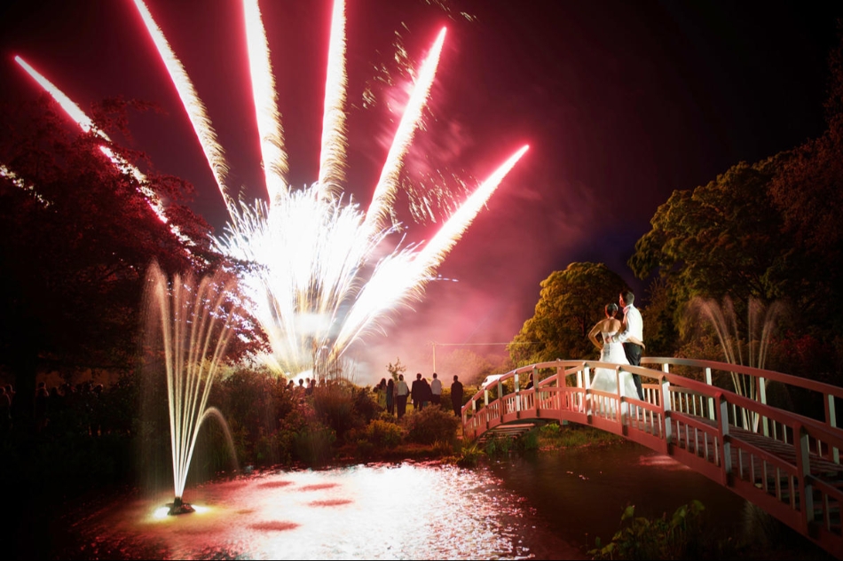 Gallery image 1: phoenix-fireworks