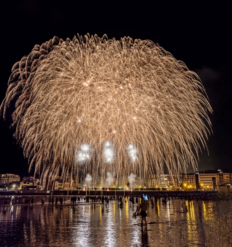 Gallery image 5: phoenix-fireworks