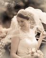 Thumbnail image 4 from Blushing Bride Photography