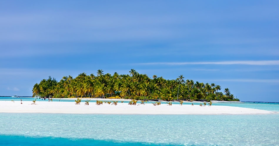 Image 1: Fabulicious Travels