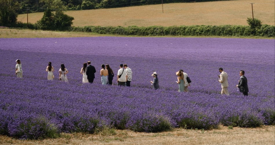 Image 3: Castle Farm Kent