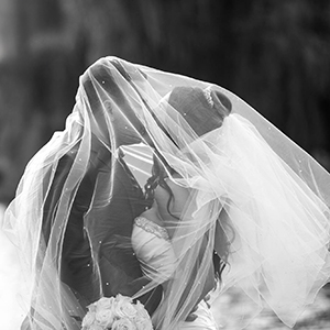 Sally Scott Photography