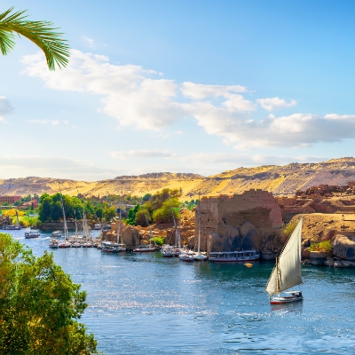 Image 1: MCM Travels