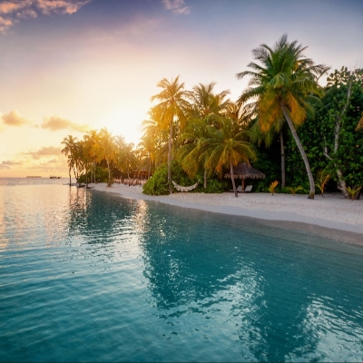 Image 4: MCM Travels