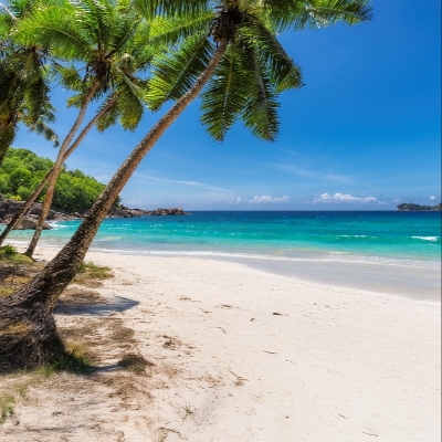 Image 7: MCM Travels