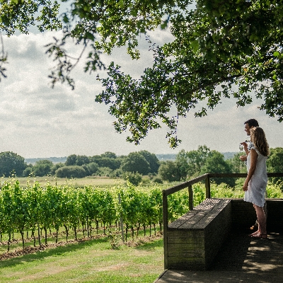 Editor, Kelly Andrews visited one of the UK's most successful English wine producers