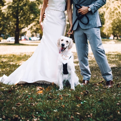 How to make your wedding day dog-friendly