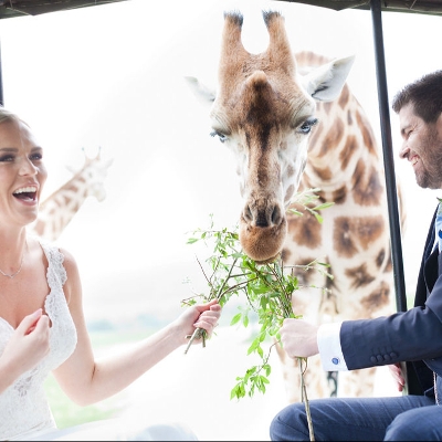 Wedding News: Complimentary safari with Port Lympne Hotel & Reserve bookings