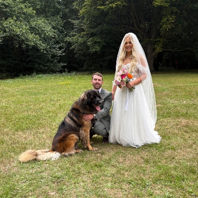 Here Comes the Hound is celebrating being a part of 100 weddings