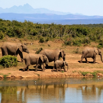 2026 African honeymoon hotspots