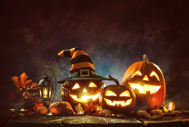 Halloween spooktacular at Kent Life: Image 1