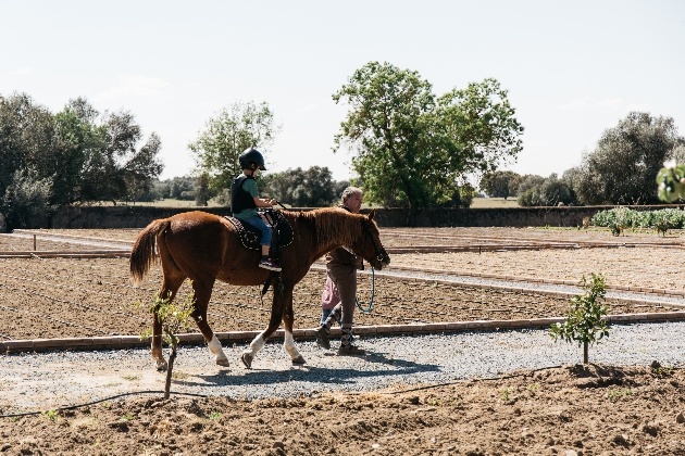 child on horse in ground of accommodation
