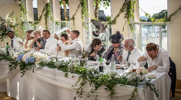bridal party sitting at the top table reacting to a pigeon flying over their heads