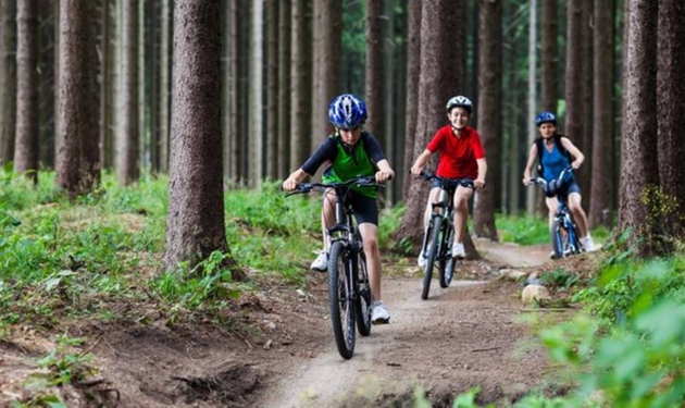 three people on bikes cycling through the woods