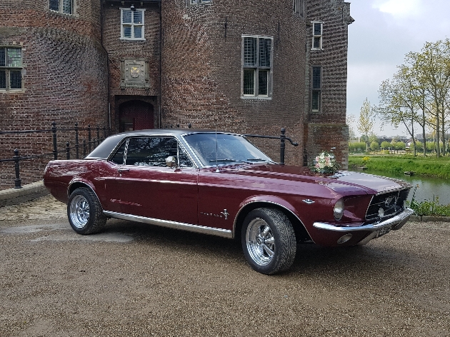 Ford Mustang GT500 in oxblood red