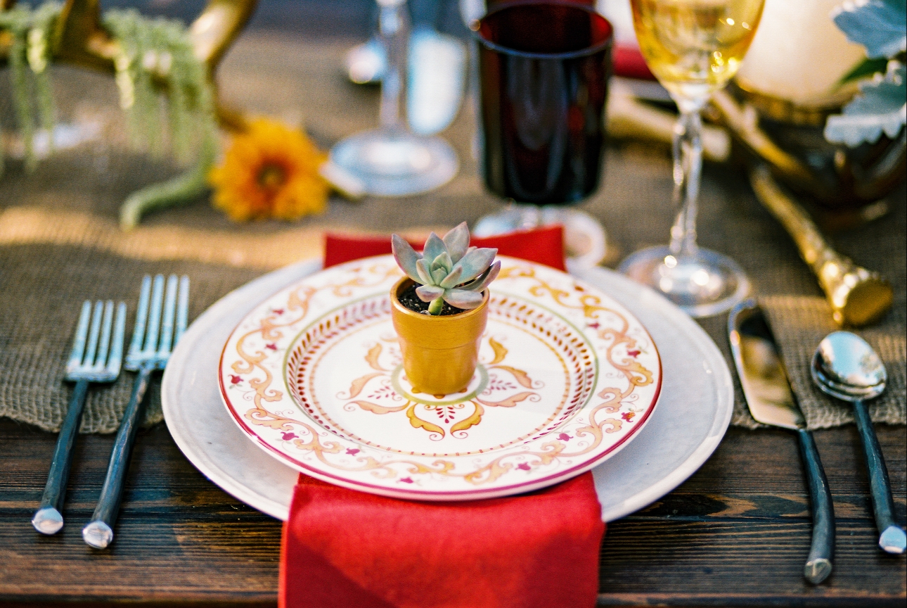 table setting with tablewear and succulent favour