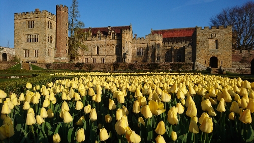 Image 1 from Penshurst Place & Gardens
